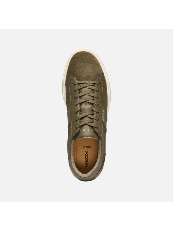 Geox Khaki muske tenisice Geox Baltmoore
