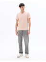 Celio Majica Neuniv