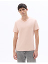 Celio Majica Neuniv