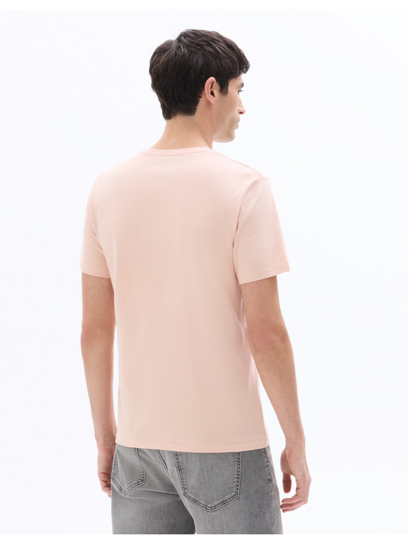 Celio Majica Neuniv