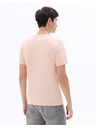 Celio Majica Neuniv